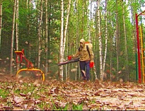 НА ТЕРРИТОРИИ ЗАГОРОДНОГО ДЕТСКОГО ЛАГЕРЯ «ЛЕСНАЯ СКАЗКА» ПРОШЛА АКАРИЦИДНАЯ ОБРАБОТКА